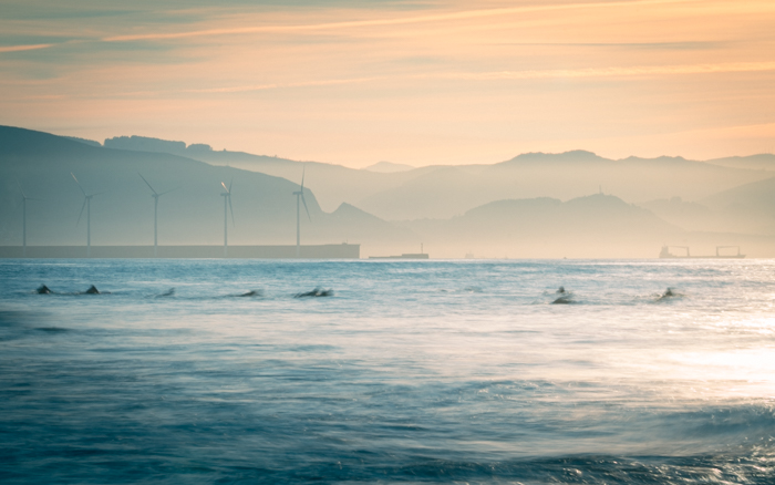 Misty afternoon at the beach